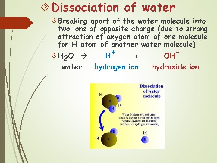  Dissociation of water Breaking apart of the water molecule into two ions of