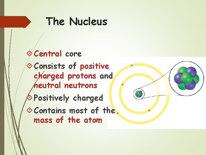 The Nucleus Central core Consists of positive charged protons and neutral neutrons Positively charged