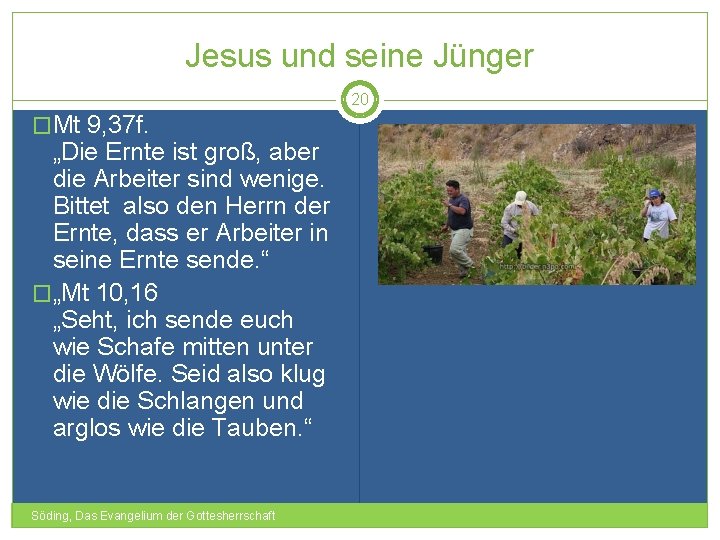 Jesus und seine Jünger 20 �Mt 9, 37 f. „Die Ernte ist groß, aber