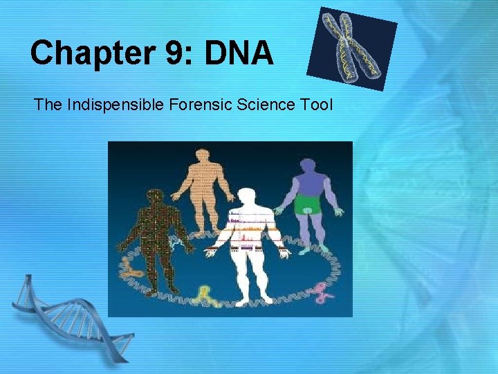 Chapter 9: DNA The Indispensible Forensic Science Tool 