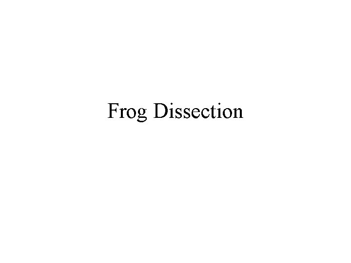 Frog Dissection 