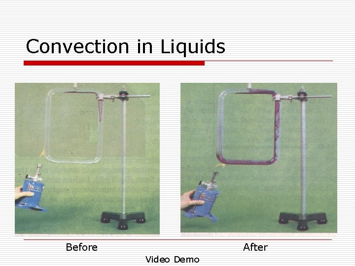 Convection in Liquids Before After Video Demo 