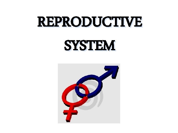 REPRODUCTIVE SYSTEM 