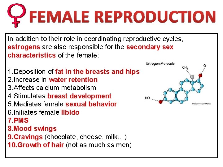 FEMALE REPRODUCTION In addition to their role in coordinating reproductive cycles, estrogens are also