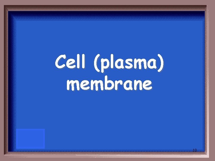 Cell (plasma) membrane 10 