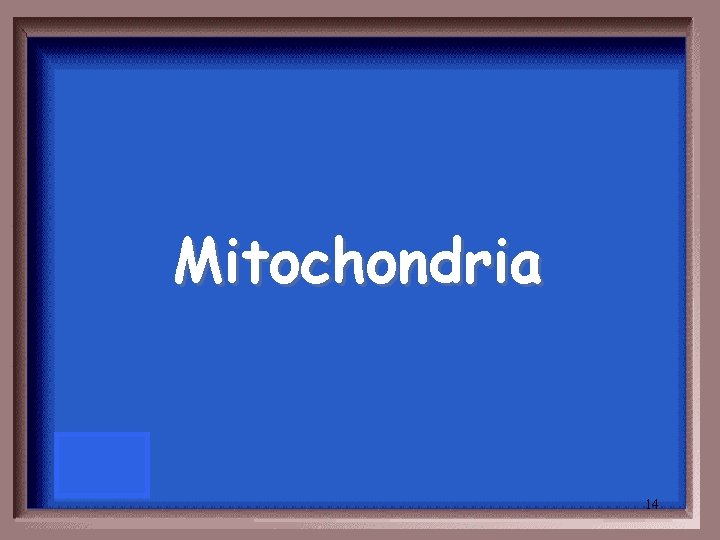 Mitochondria 14 