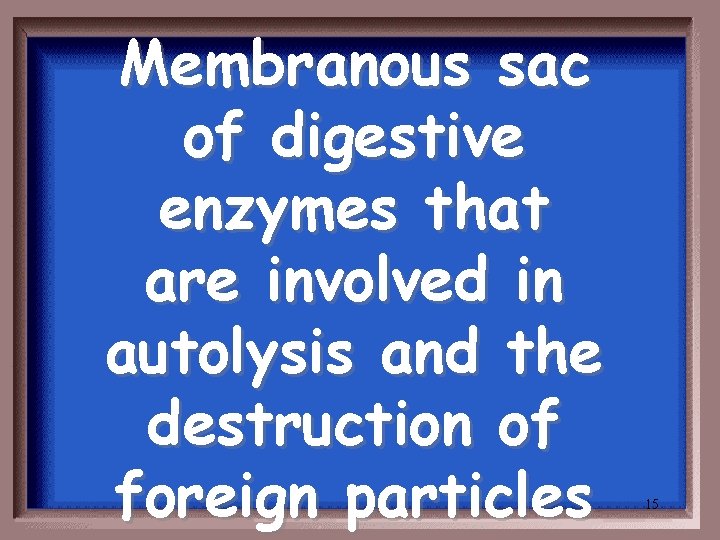 Membranous sac of digestive enzymes that are involved in autolysis and the destruction of