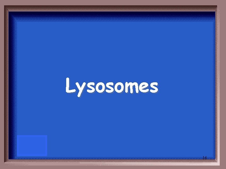 Lysosomes 16 