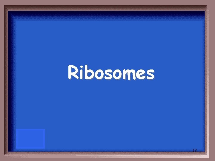 Ribosomes 18 