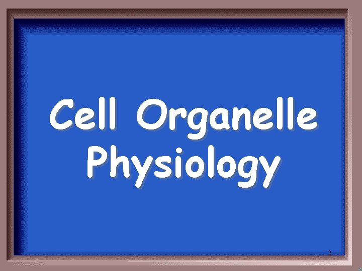 Cell Organelle Physiology 2 