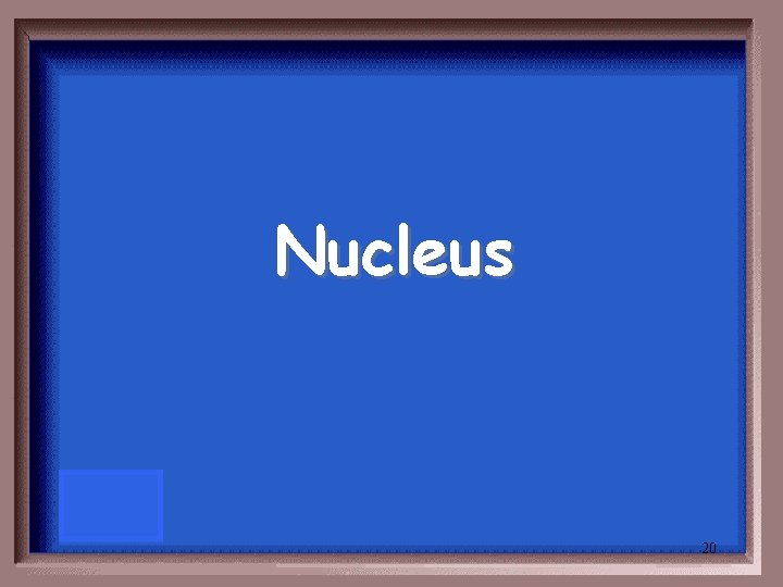 Nucleus 20 