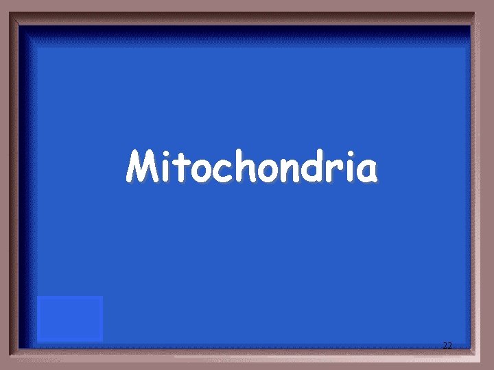 Mitochondria 22 