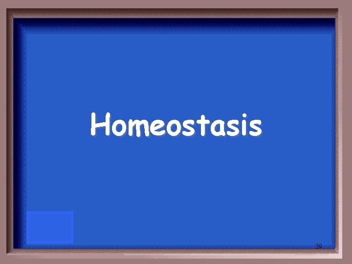 Homeostasis 39 