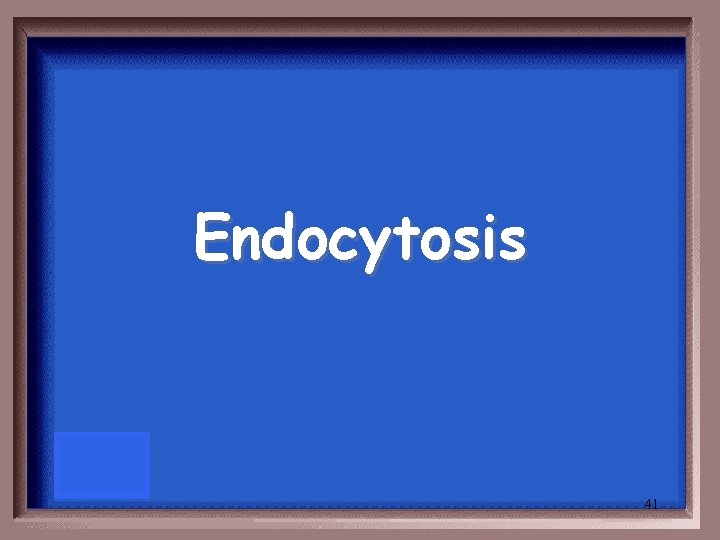 Endocytosis 41 