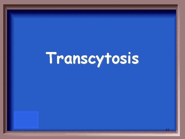 Transcytosis 43 