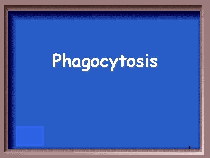 Phagocytosis 47 