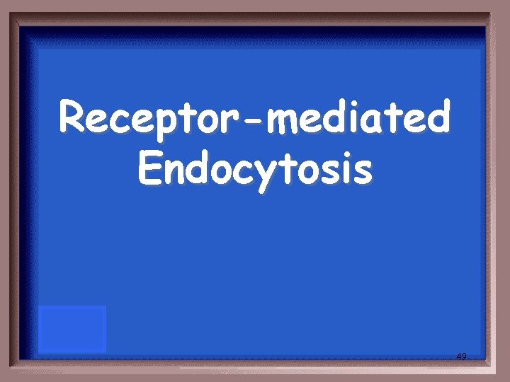 Receptor-mediated Endocytosis 49 