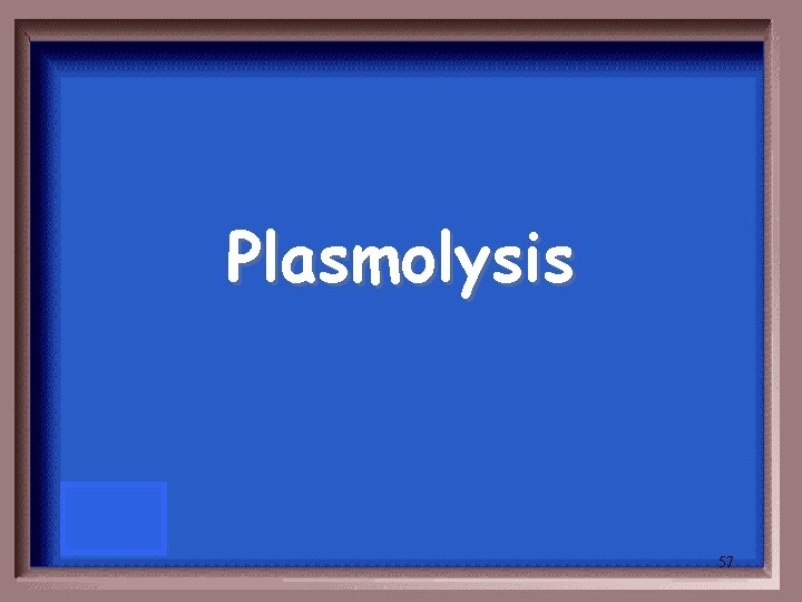 Plasmolysis 57 