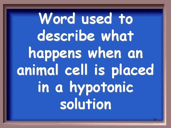 Word used to describe what happens when an animal cell is placed in a