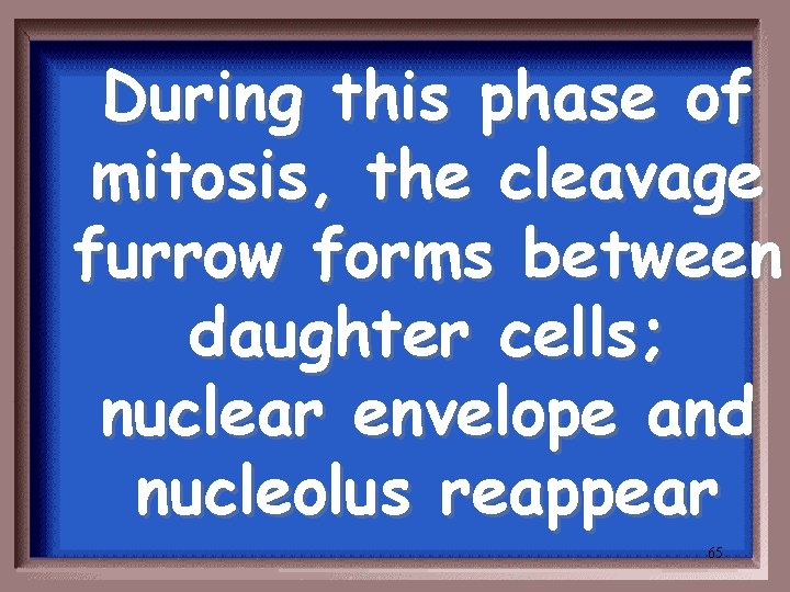During this phase of mitosis, the cleavage furrow forms between daughter cells; nuclear envelope