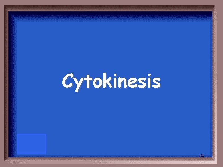 Cytokinesis 68 