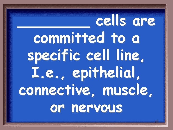 ____ cells are committed to a specific cell line, I. e. , epithelial, connective,