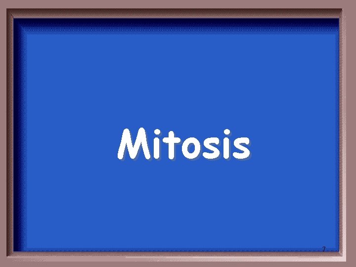 Mitosis 7 