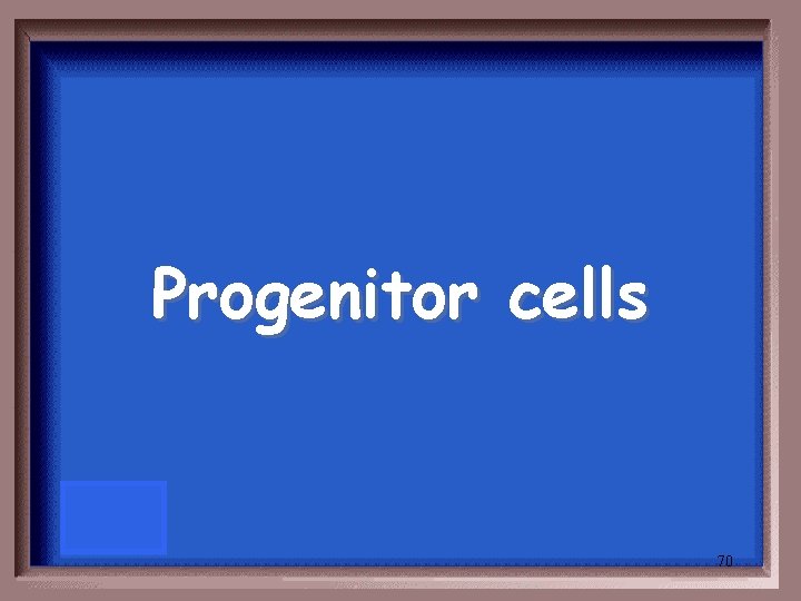 Progenitor cells 70 