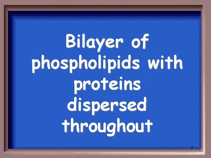 Bilayer of phospholipids with proteins dispersed throughout 9 