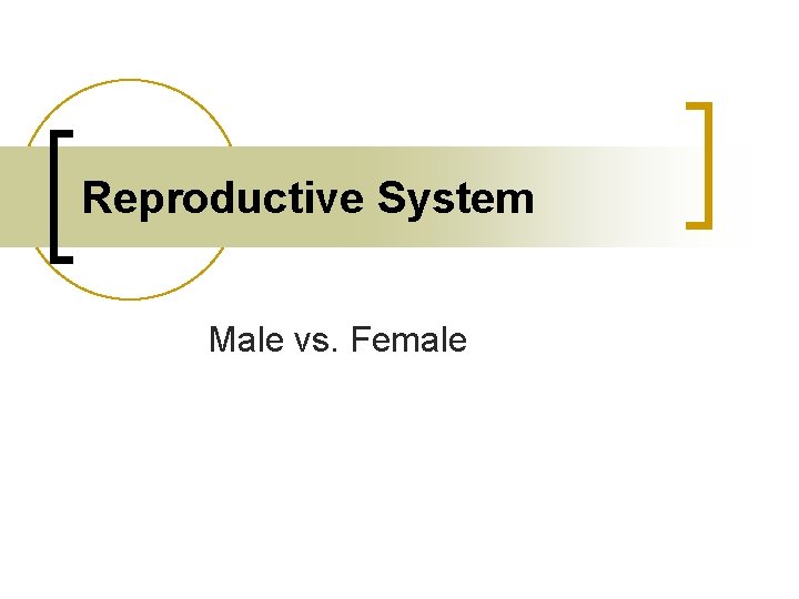 Reproductive System Male vs. Female 