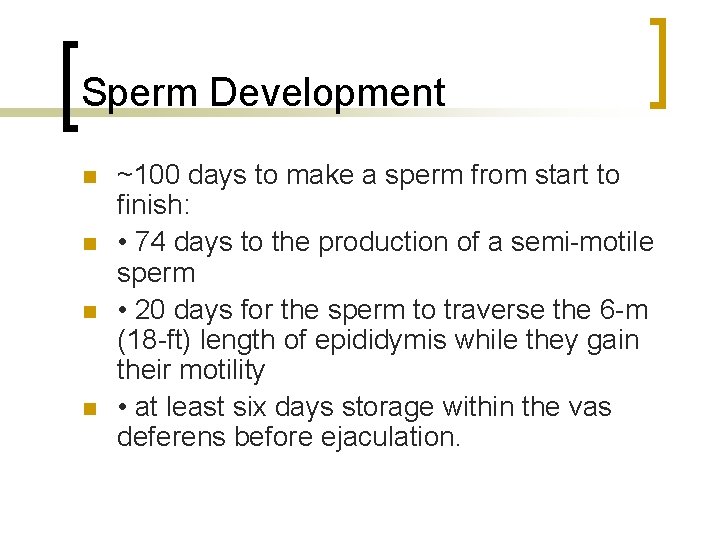 Sperm Development n n ~100 days to make a sperm from start to finish: