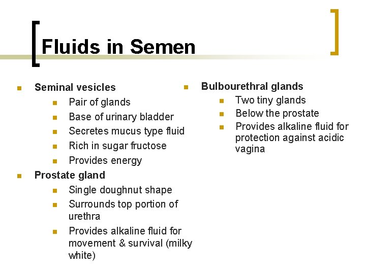 Fluids in Semen n Bulbourethral glands Seminal vesicles n Two tiny glands n Pair