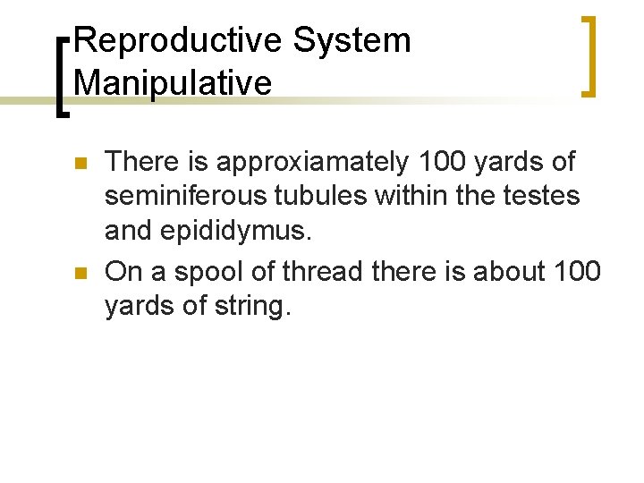 Reproductive System Manipulative n n There is approxiamately 100 yards of seminiferous tubules within