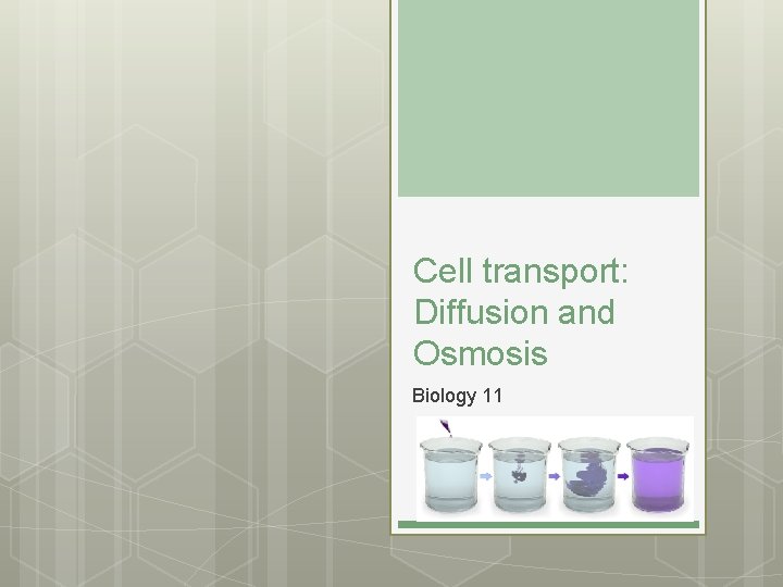 Cell transport: Diffusion and Osmosis Biology 11 