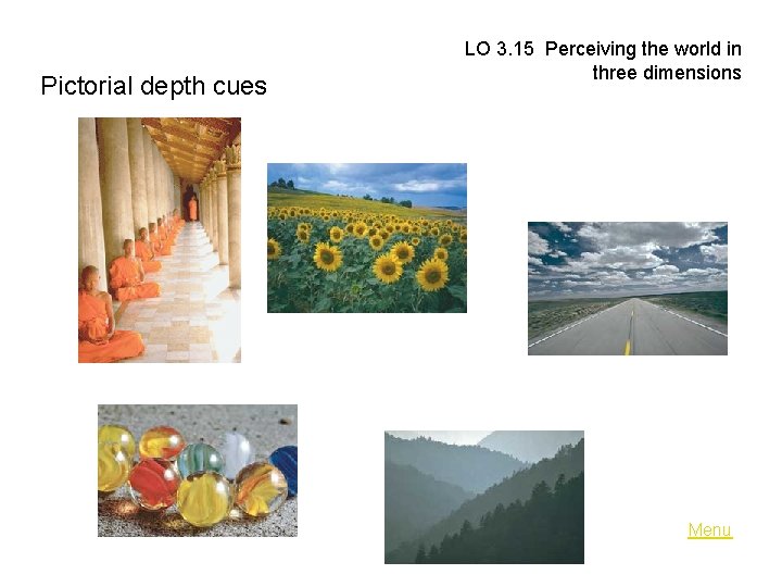 Pictorial depth cues LO 3. 15 Perceiving the world in three dimensions Menu 