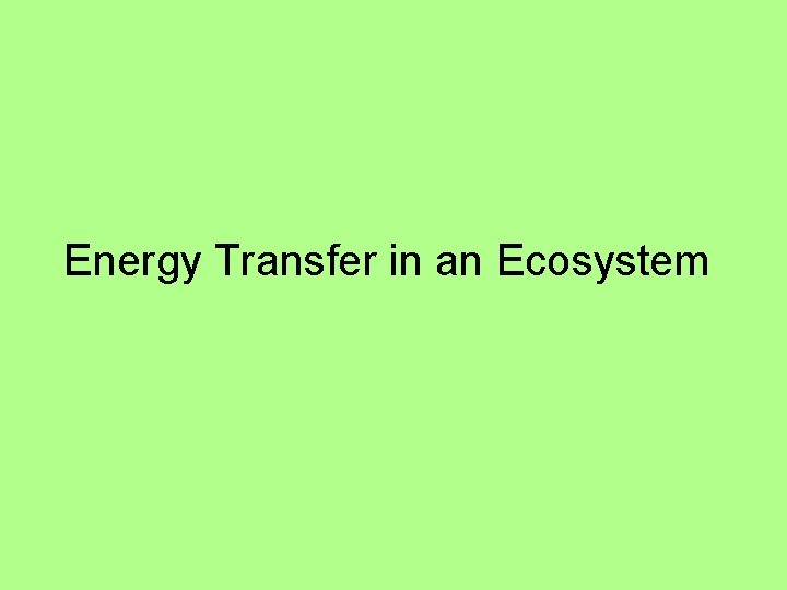 Energy Transfer in an Ecosystem 