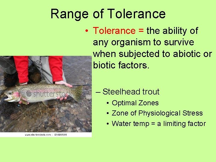 Range of Tolerance • Tolerance = the ability of any organism to survive when