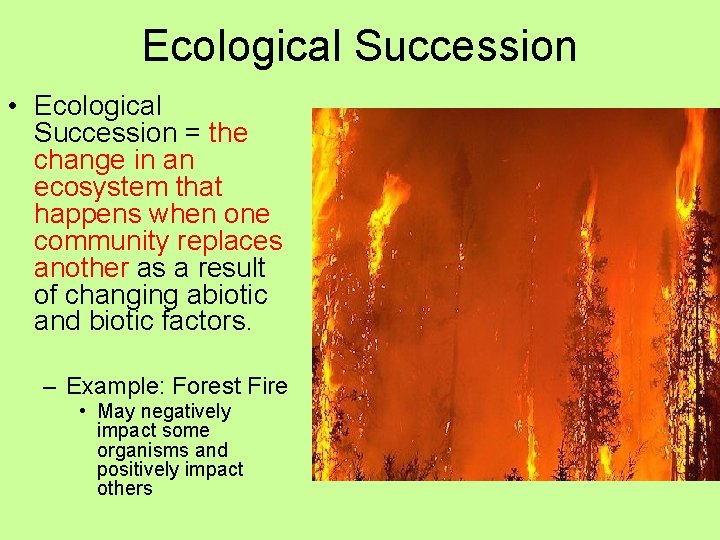 Ecological Succession • Ecological Succession = the change in an ecosystem that happens when