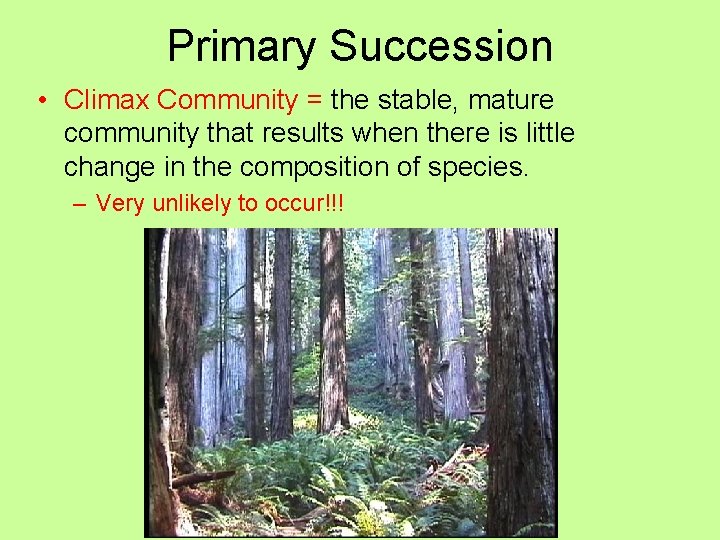 Primary Succession • Climax Community = the stable, mature community that results when there
