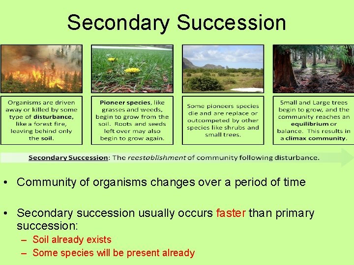 Secondary Succession • Community of organisms changes over a period of time • Secondary