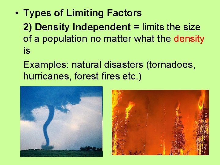  • Types of Limiting Factors 2) Density Independent = limits the size of