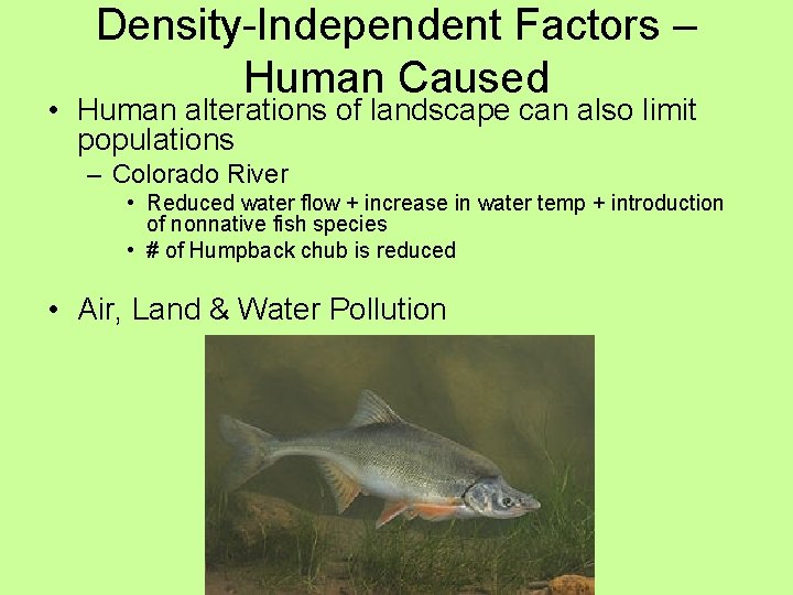 Density-Independent Factors – Human Caused • Human alterations of landscape can also limit populations