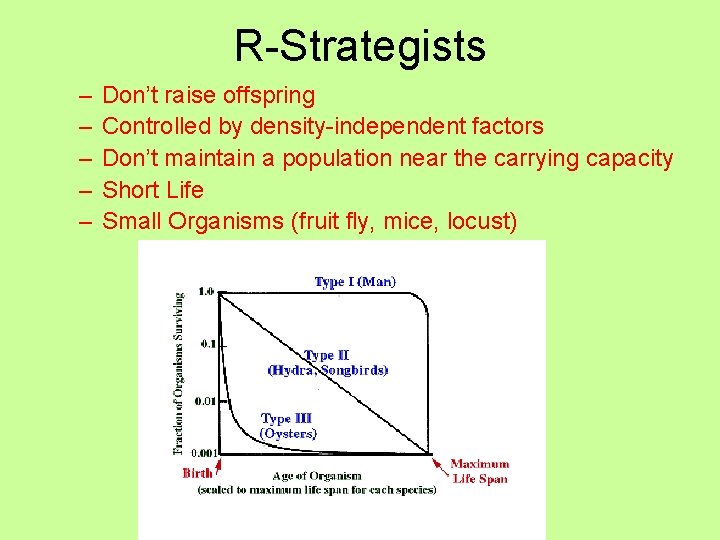 R-Strategists – – – Don’t raise offspring Controlled by density-independent factors Don’t maintain a