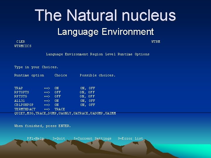 The Natural nucleus Language Environment CLER WTRMCICS WTRM Language Environment Region Level Runtime Options