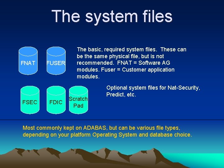 The system files FNAT FSEC FUSER FDIC The basic, required system files. These can