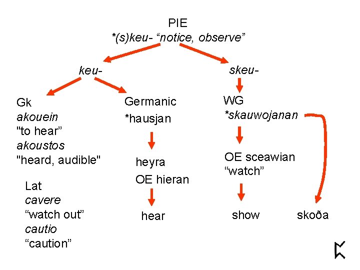 PIE *(s)keu- “notice, observe” skeu- keu. Gk akouein "to hear” akoustos "heard, audible" Lat