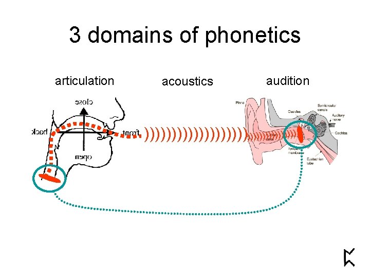 3 domains of phonetics articulation acoustics audition )))))))))))))))))) 