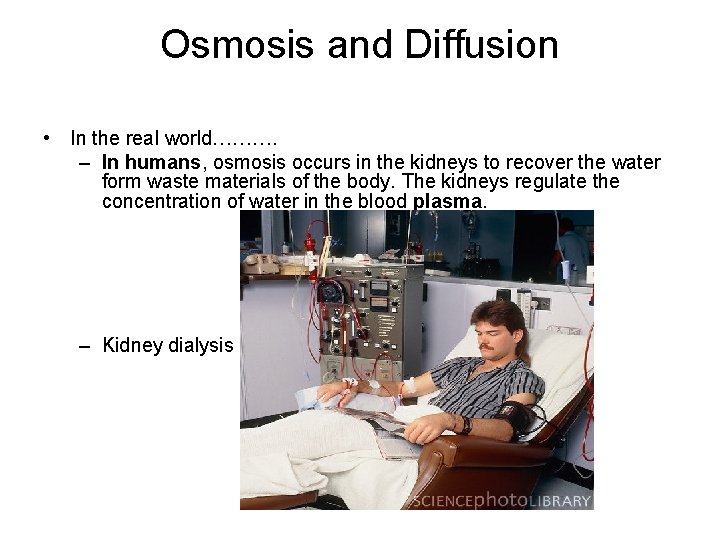 Osmosis and Diffusion • In the real world………. – In humans, osmosis occurs in