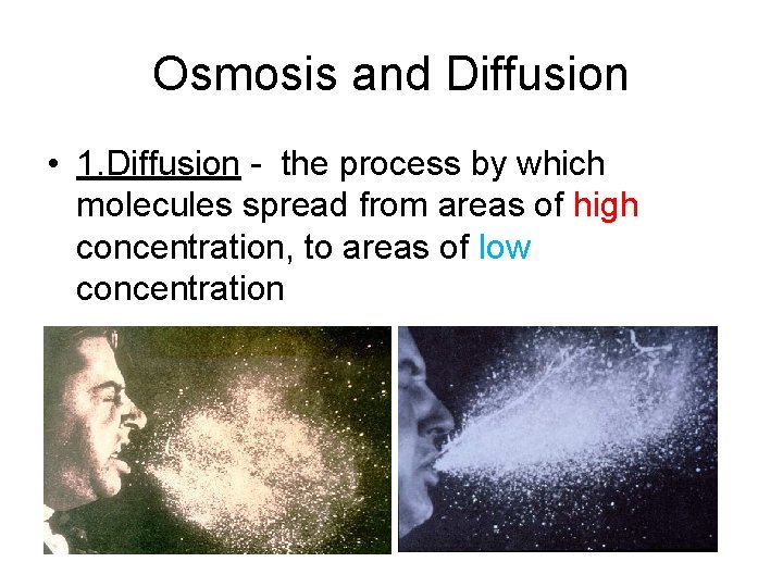 Osmosis and Diffusion • 1. Diffusion - the process by which molecules spread from