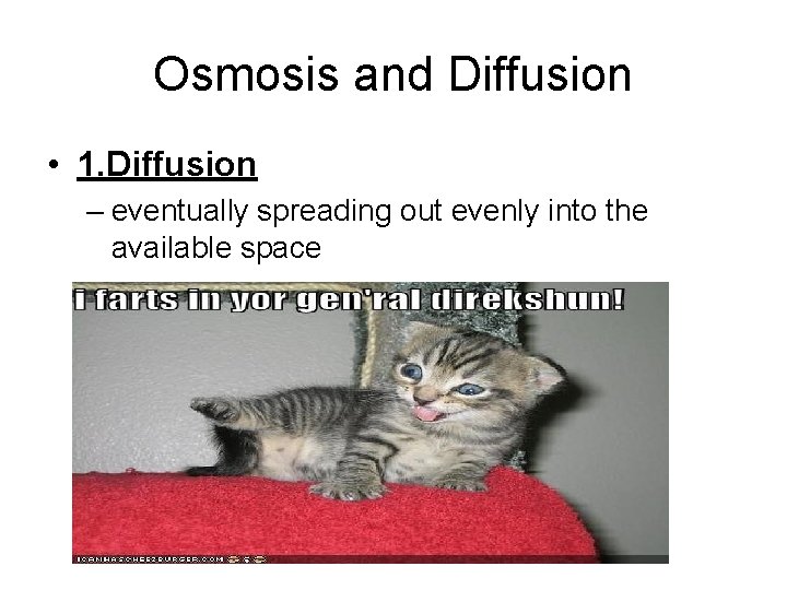 Osmosis and Diffusion • 1. Diffusion – eventually spreading out evenly into the available